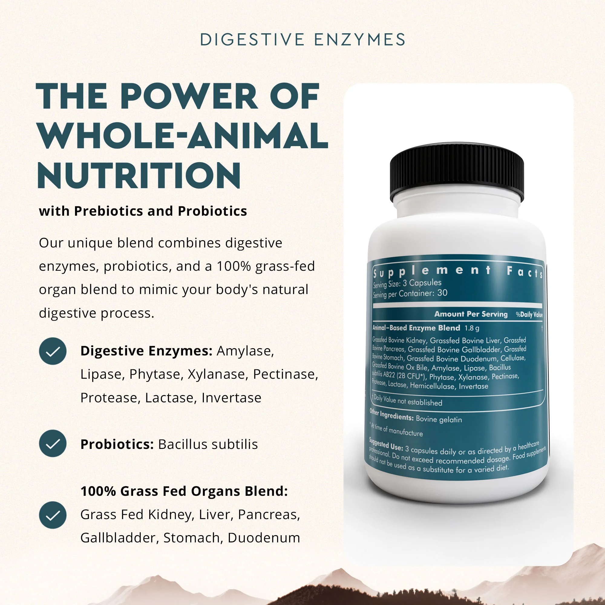 Digestive Enzymes - Image 4