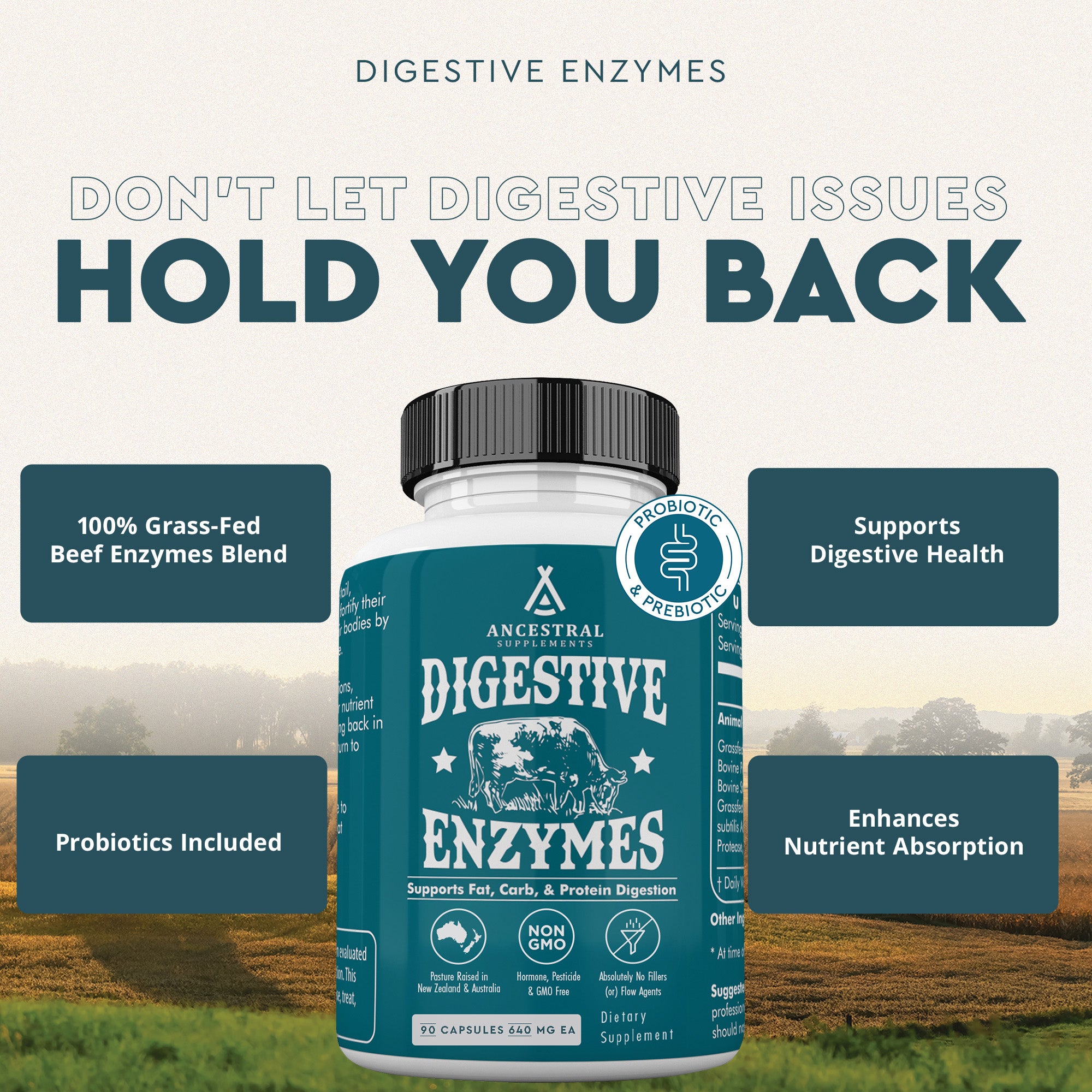 Digestive Enzymes - Image 7