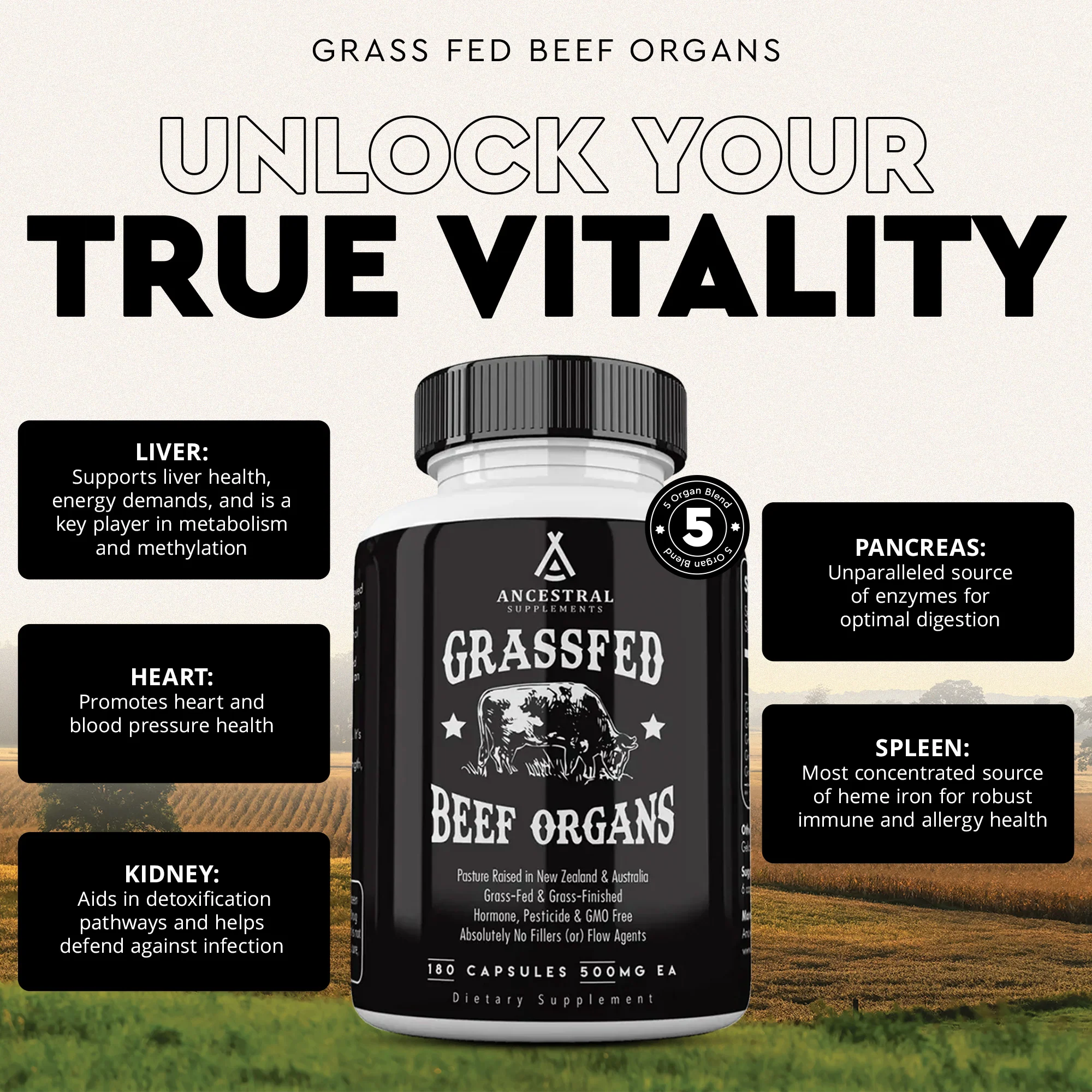 Grass Fed Beef Organs 3-Pack - Image 3