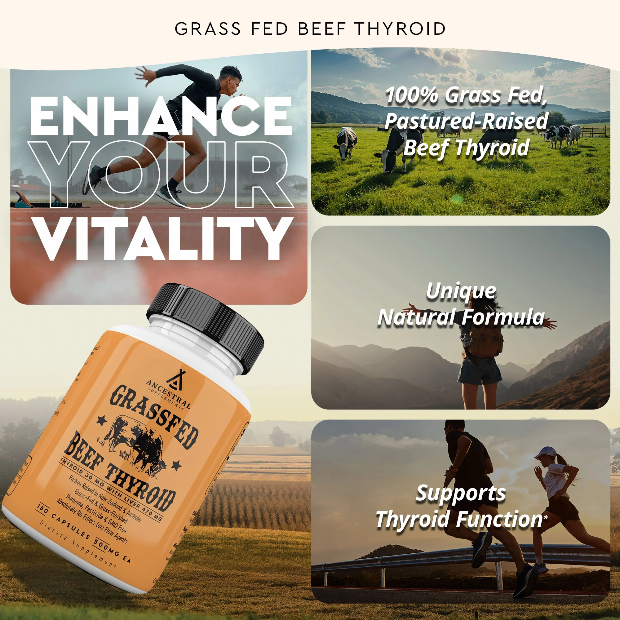 Grass Fed Beef Thyroid - Image 4