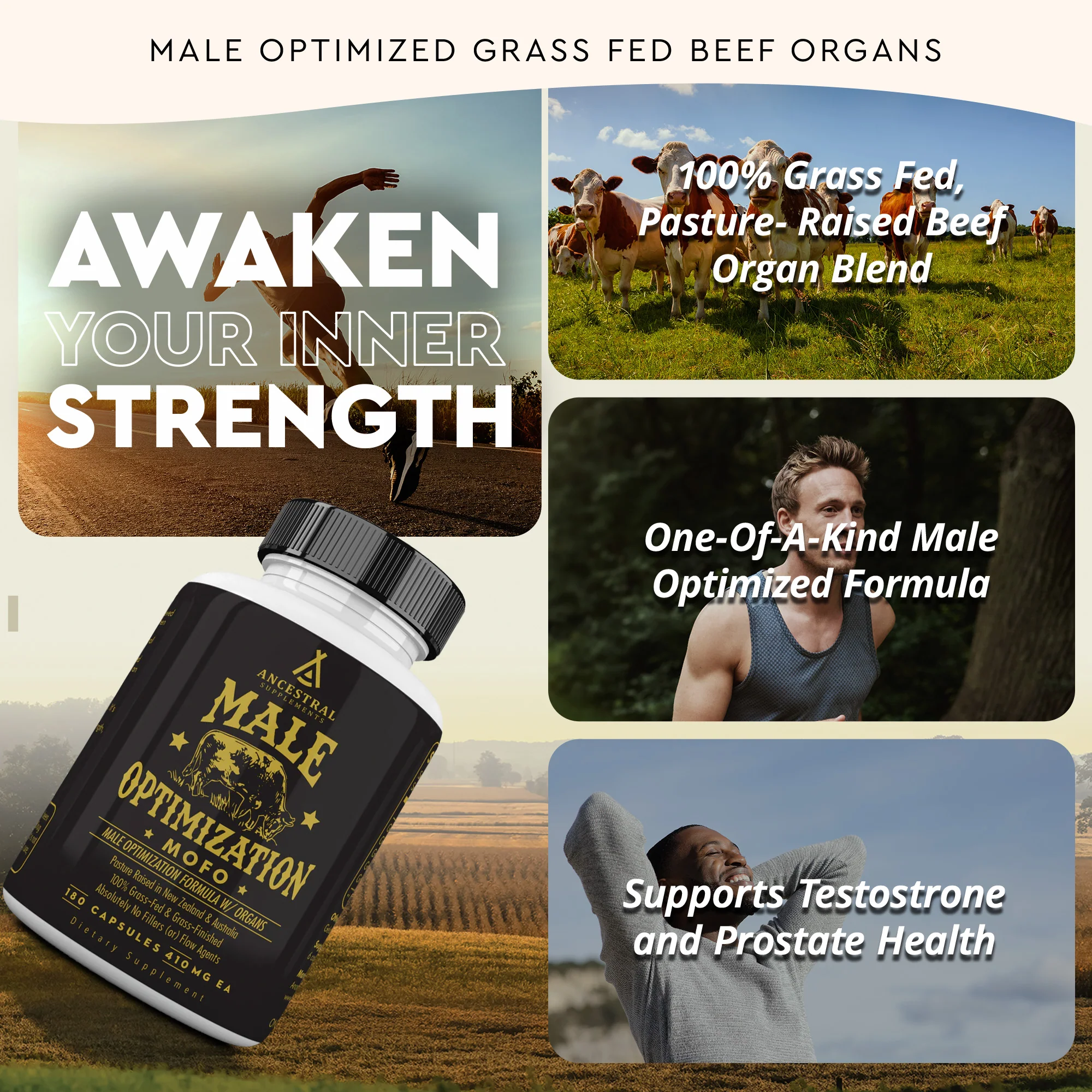 MOFO: Male Optimization Formula with Grass Fed Beef Organs 3-Pack - Image 3